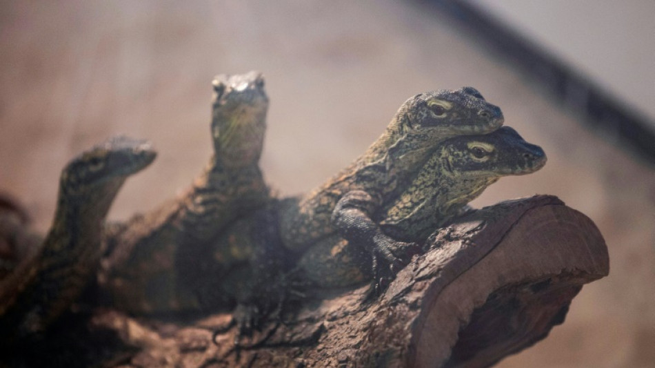 La moiti&eacute; des esp&egrave;ces non &eacute;valu&eacute;es pourraient &ecirc;tre menac&eacute;es d'extinction (&eacute;tude)