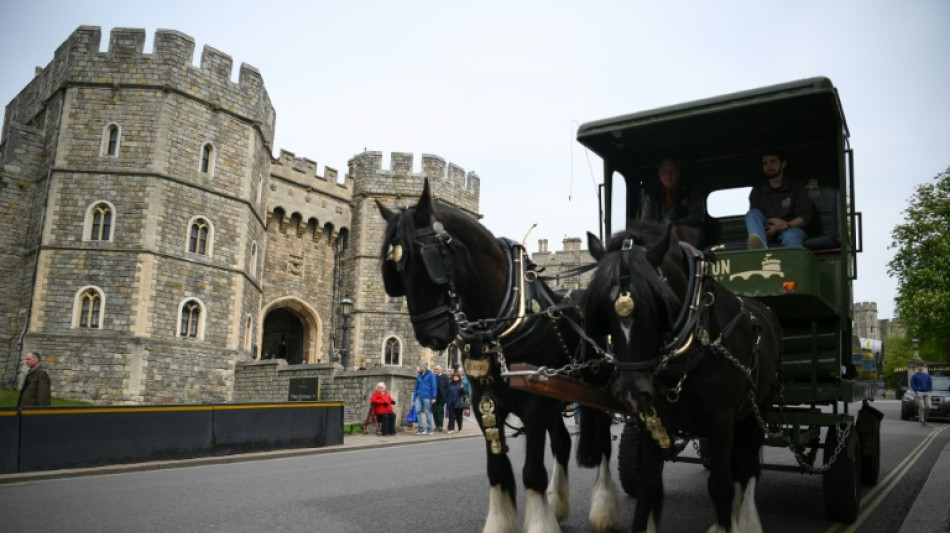 A un mes del jubileo de Isabel II, Windsor en plena ebullici&oacute;n