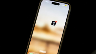 Comprendre la pol&eacute;mique autour de Shein, embl&egrave;me de l'"ultra fast fashion"