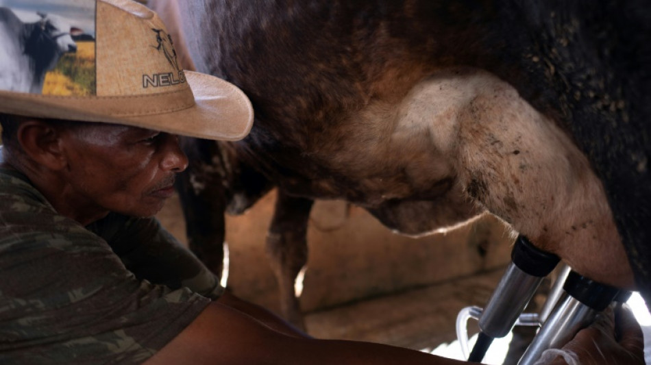 Estabilidade fiscal e crescimento, a receita de sucesso para a Am&eacute;rica Latina, diz FMI