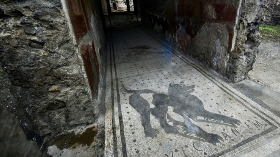 AI helps Latin scholars decipher ancient Roman texts