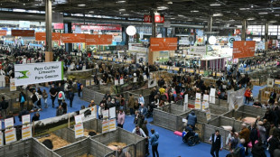 Apr&egrave;s la col&egrave;re, une &eacute;dition 2025 apais&eacute;e du Salon de l'agriculture