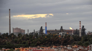 Accolto reclamo cittadini su ex Ilva, stop area a caldo in 90 giorni