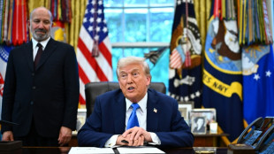 EEUU se convertir&aacute; en accionista de una start-up dedicada a transformar tierras raras