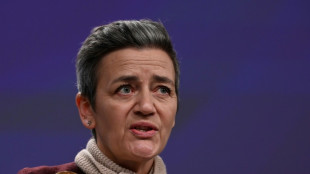 La UE flexibiliza hasta 2025 las normas sobre subsidios a tecnolog&iacute;as verdes