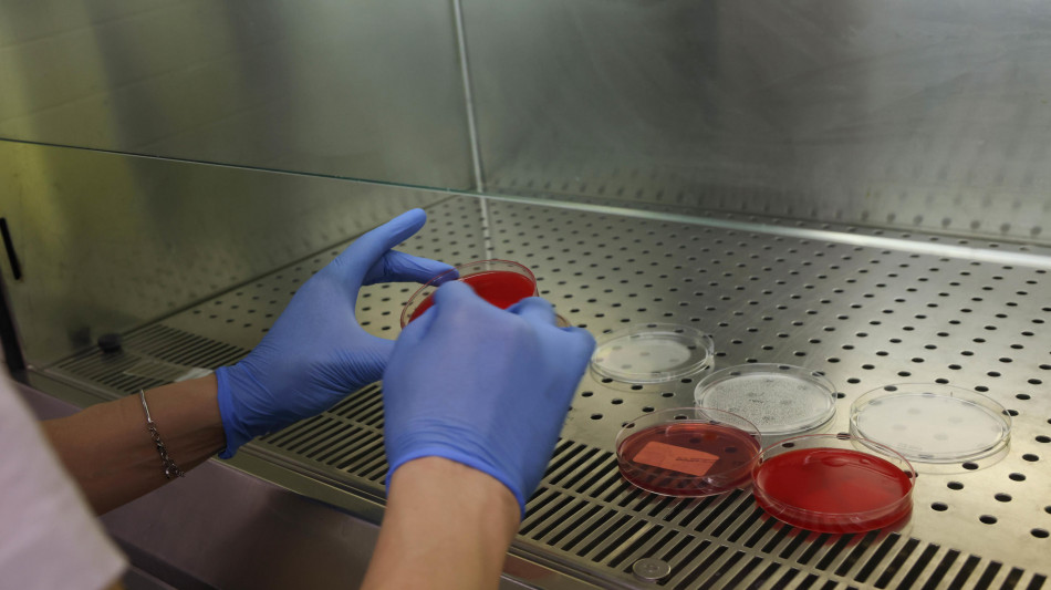 Malattie del sangue, ok Aifa rimborsabilit&agrave; farmaco per Epn