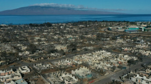 Le bilan humain des incendies &agrave; Hawa&iuml; r&eacute;vis&eacute; &agrave; la baisse