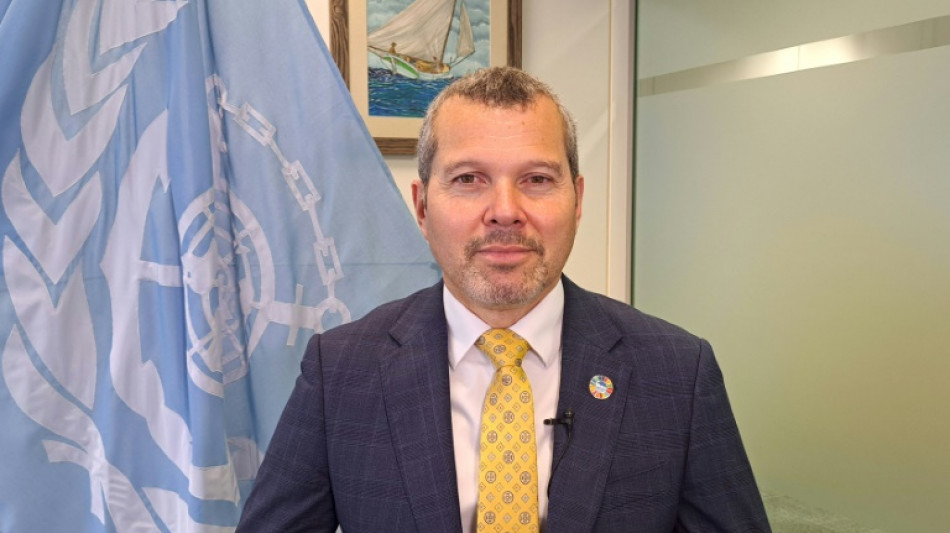 Chefe da Organiza&ccedil;&atilde;o Mar&iacute;tima Internacional, 'otimista' sobre o conflito no Mar Vermelho