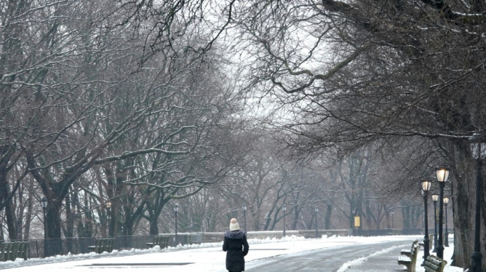 Apr&egrave;s un hiver doux, New York enfin sous la neige