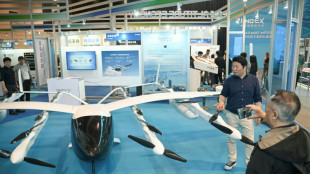 Sonho dos t&aacute;xis voadores continua vivo apesar dos contratempos