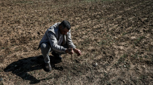La sequ&iacute;a pone en peligro la cosecha en la regi&oacute;n cerealera de Marruecos