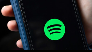 Su&egrave;de: des gangs blanchissent de l'argent via Spotify