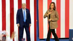 Harris et Trump font un d&eacute;tour de campagne au Texas