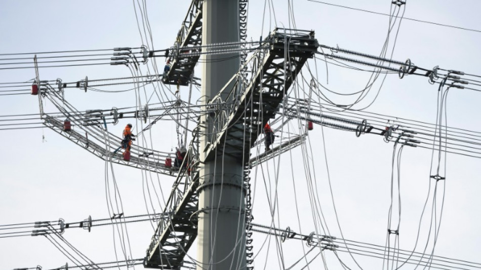 M&aacute;s de la mitad de la electricidad ser&aacute; baja en carbono antes de 2030, dice la AIE