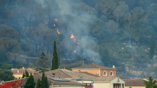 L'incendie dans l'Aude, non maîtrisé à la tombée de la nuit, parcourt des centaines d'hectares