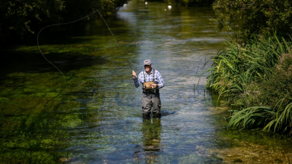 Truites et saumons, tr&eacute;sors des rivi&egrave;res crayeuses anglaises menac&eacute;s par le r&eacute;chauffement climatique