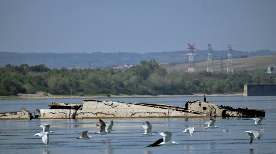 80 ans apr&egrave;s l'op&eacute;ration "Danube Elf", la flotte nazie resurgit du Danube