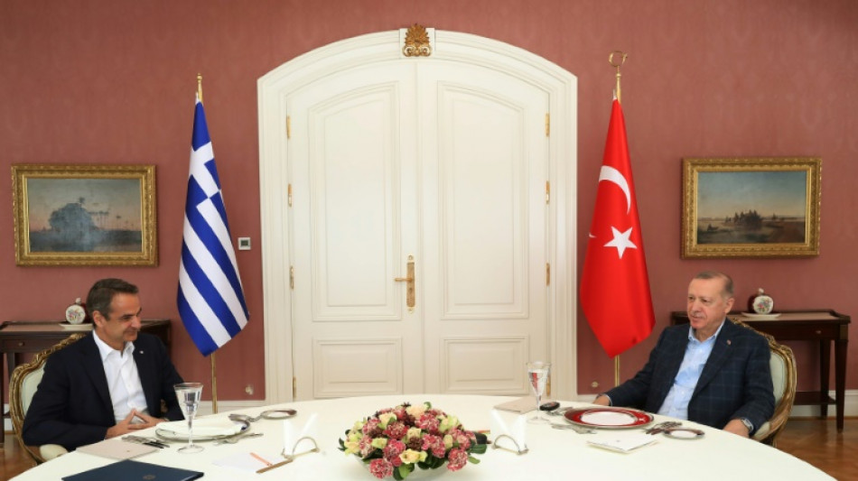 Sommet gr&eacute;co-turc &agrave; Istanbul entre voisins de l'Otan, avec l'Ukraine en t&ecirc;te