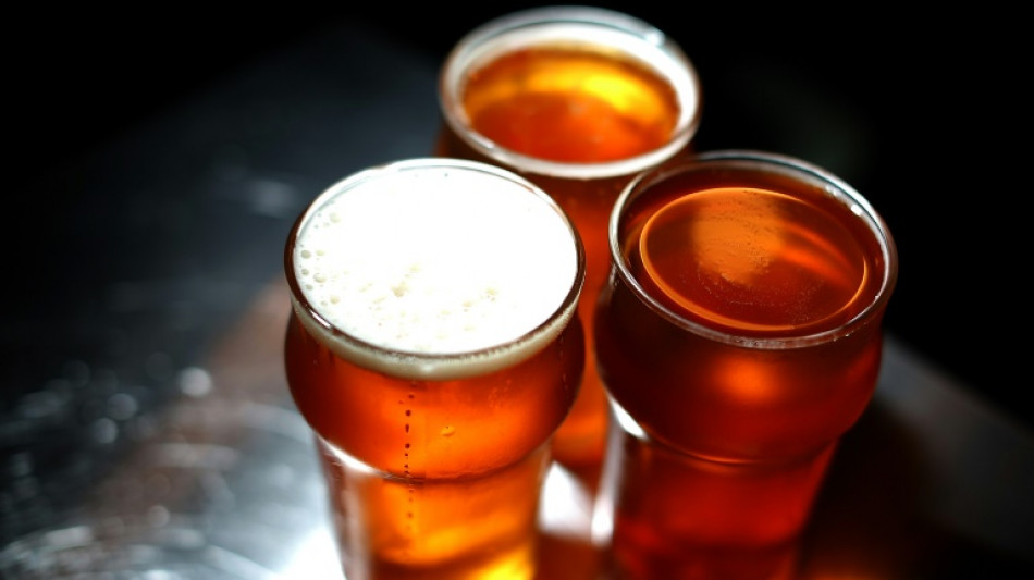 132 Tanklastz&uuml;ge Bier: Bahn-Bordbistros verzeichnen wegen EM-Fans hohe Ums&auml;tze