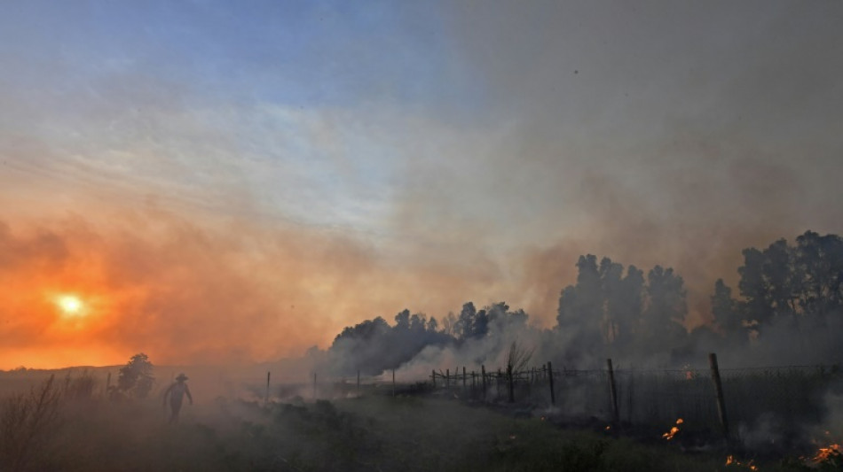Argelia logra apagar la mayor&iacute;a de los incendios, pero a&uacute;n hay 13 focos activos