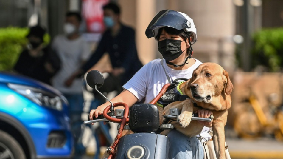 C&oacute;lera de los habitantes de Shanghai que vuelven a ser confinados