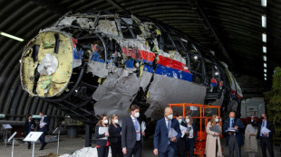 Vol MH1: : "fortes indications" selon lesquelles Poutine a approuv&eacute; la fourniture du missile