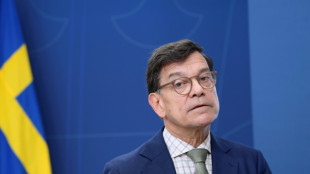 Swedish ex-govt adviser goes on trial over mislaid documents