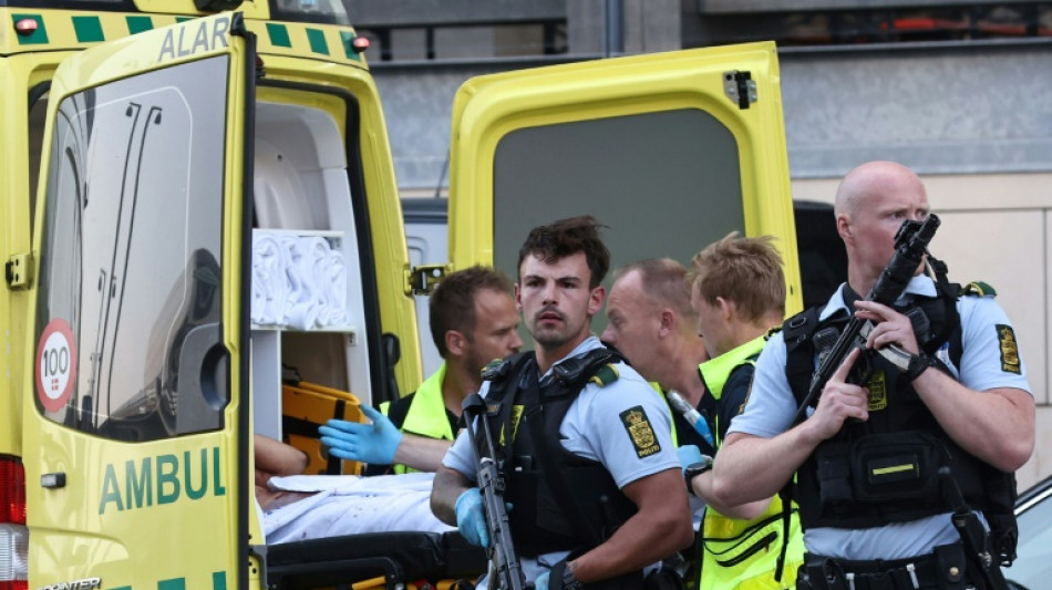 Polizei hat nach t&ouml;dlichen Sch&uuml;ssen in Kopenhagen keine Hinweise auf "Terrorakt"