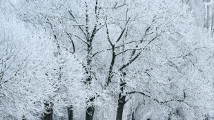 Winterwetter mit Schnee und Eis sorgt f&uuml;r Flugausf&auml;lle und Verkehrsunf&auml;lle