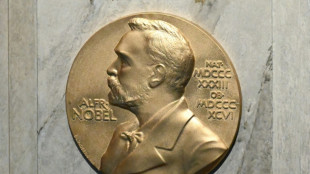 Auff&auml;llige Wettquoten: Nobelinstitut vermutet Spionage beim Friedensnobelpreis