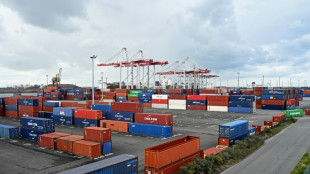 Pr&egrave;s de 10 tonnes de coca&iuml;ne saisies au port de Dunkerque, un record