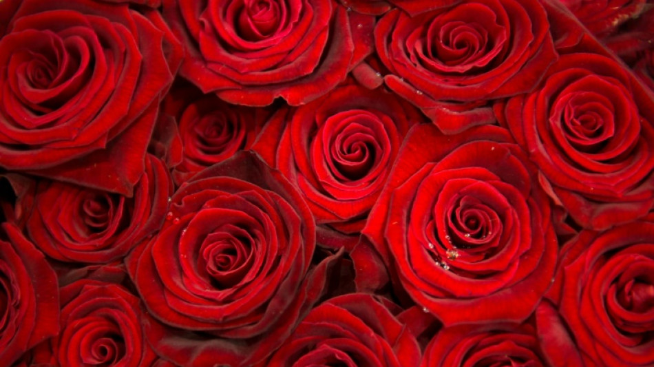 Umfrage: H&auml;lfte der Deutschen h&auml;lt Muttertag f&uuml;r zu kommerzialisiert 