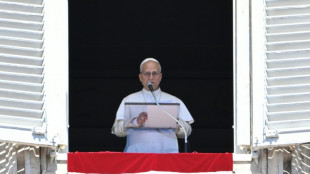 Le pape appelle &agrave; mettre un terme &agrave; la "pand&eacute;mie des armes"