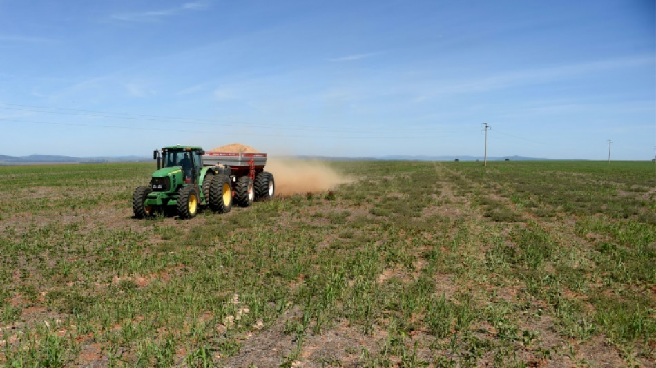 Bauernverband fordert mehr Geld f&uuml;r Einsatz f&uuml;r Klimaschutz und Tierwohl
