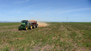 Erzeugerpreise f&uuml;r landwirtschaftliche Produkte steigen kaum noch