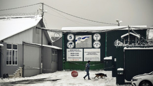 In Russia's 'land of prison' where Brittney Griner is held