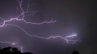 Orages: 28 départements en vigilance orange, une femme tuée par une chute d'arbre
