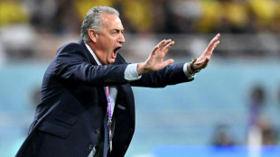 Ecuador performances show football's global 'evolution', says coach Alfaro