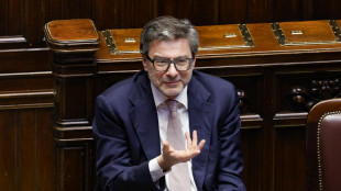 Giorgetti, l'economia cresce nonostante il contesto negativo