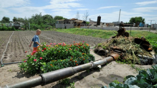Ucrania y Rusia alcanzan acuerdo con la ONU y Turqu&iacute;a para exportar granos