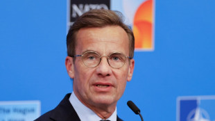 Suecia exige que la UE congele la parte comercial de su acuerdo de asociación con Israel