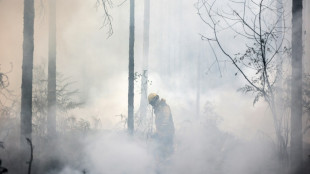 Feux de for&ecirc;t: un &eacute;t&eacute; record de surfaces br&ucirc;l&eacute;es en Europe