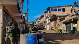 Dissidentes das Farc pedem que delega&ccedil;&otilde;es n&atilde;o participem da COP16