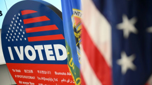 Russian disinformation campaign sets sights on US midterms