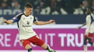 Traumstart in die R&uuml;ckrunde: HSV siegt auf Schalke