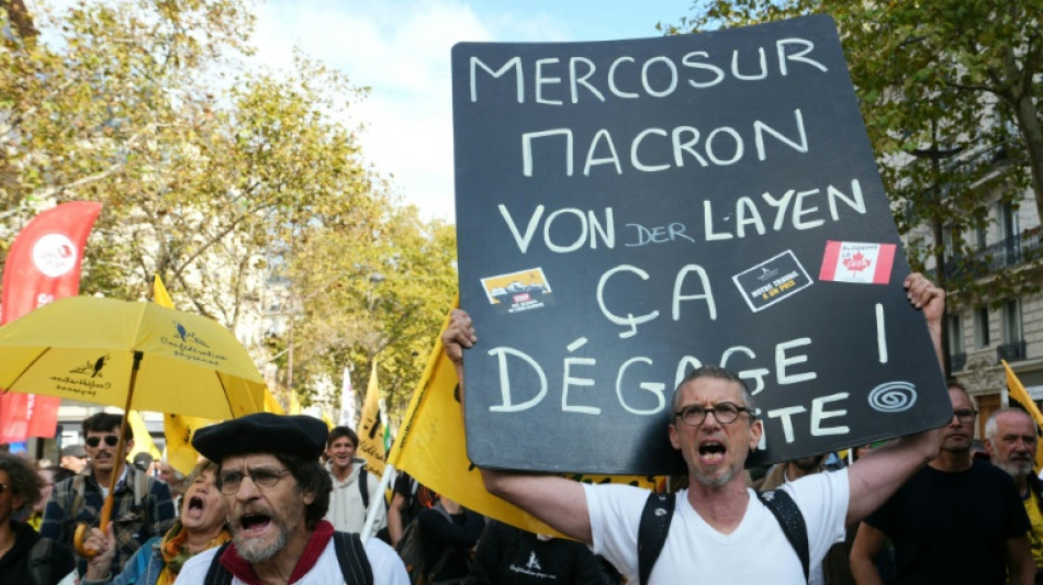 "Mercosur, mort &agrave; coup s&ucirc;r": la Conf&eacute;d&eacute;ration paysanne marche contre le libre-&eacute;change