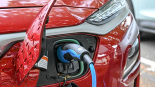 Netzagentur macht auch Betreiber von Lades&auml;ulen f&uuml;r E-Auto-Flaute verantwortlich