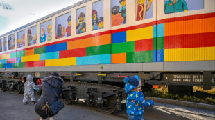 Artista h&uacute;ngaro impressiona com suas megaconstru&ccedil;&otilde;es de Lego