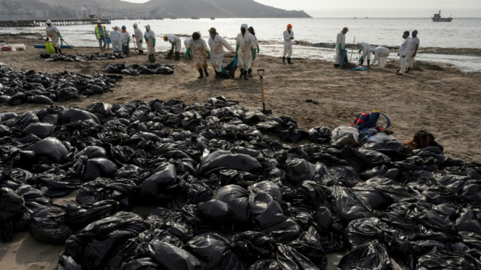 Le P&eacute;rou interdit au navire &agrave; l'origine de la mar&eacute;e noire d'appareiller