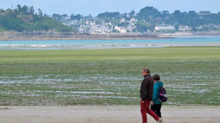 Algues vertes: l'&Eacute;tat de renforcer son action contre les pollutions aux nitrates